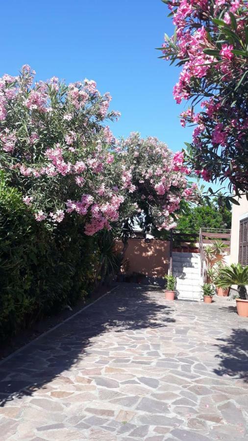 B&B Fiumicino Airport Resort Buitenkant foto